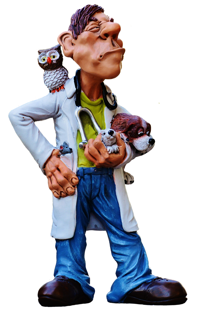 fachkundige und einfühlsame betreuung für ihr haustier - erfahren sie mehr über die bedeutung von tierarztbesuchen und wie sie die gesundheit ihres tieres fördern.