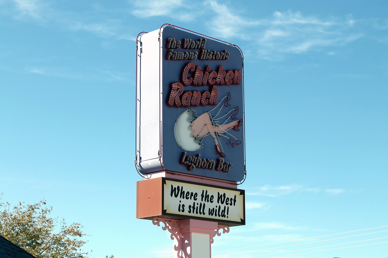 entdecken sie die besten bordelle in deutschland. informationen zu angeboten, locations und bewertungen für ein unvergessliches erlebnis.