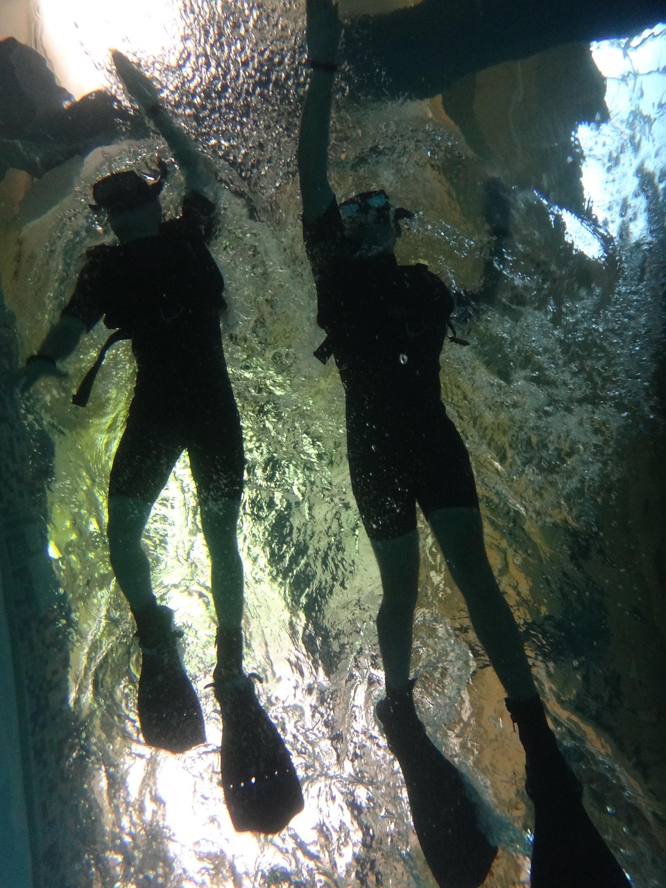 entdecken sie die welt des aerobics! verbessern sie ihre fitness, steigern sie ihre ausdauer und haben sie spaß an dynamischen workouts. ideal für anfänger und fortgeschrittene - bringen sie bewegung in ihr leben!