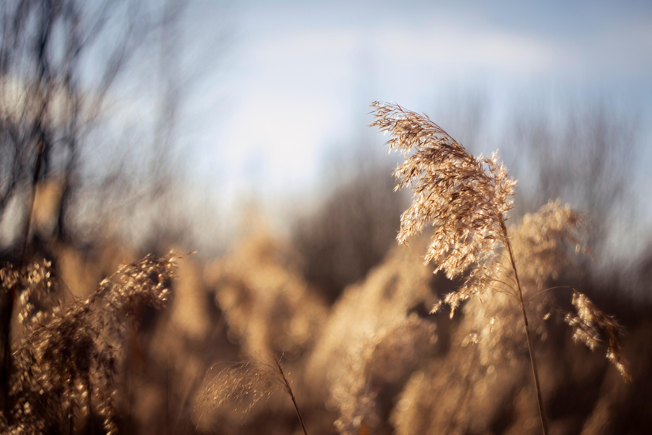 Kleinunternehmen: Tipps für erfolgreiches Wachstum