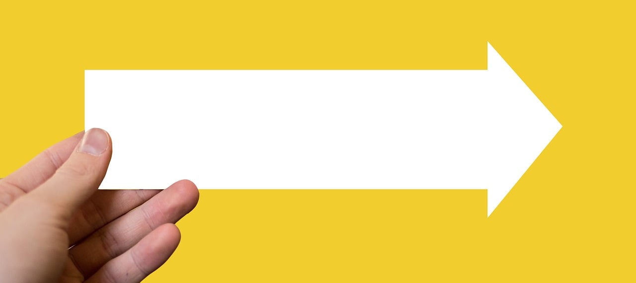 Tipps für Tierliebhaber: Wie man das perfekte Haustier auswählt