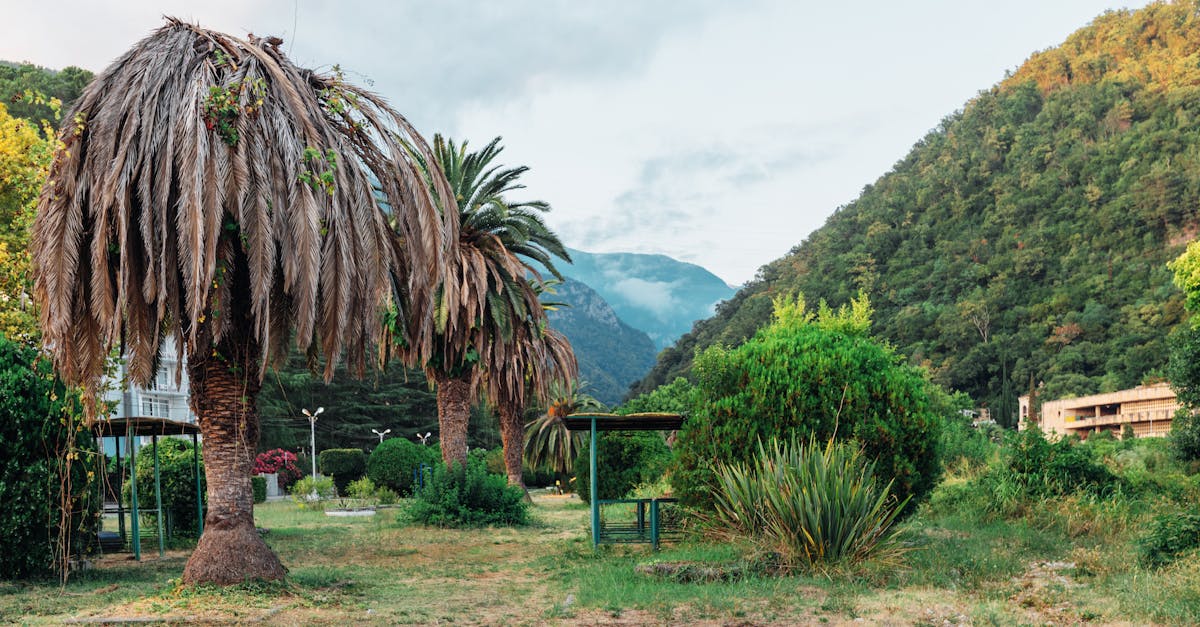 Umweltkatastrophen: Welche Schritte können wir ergreifen, um unseren Planeten zu retten?