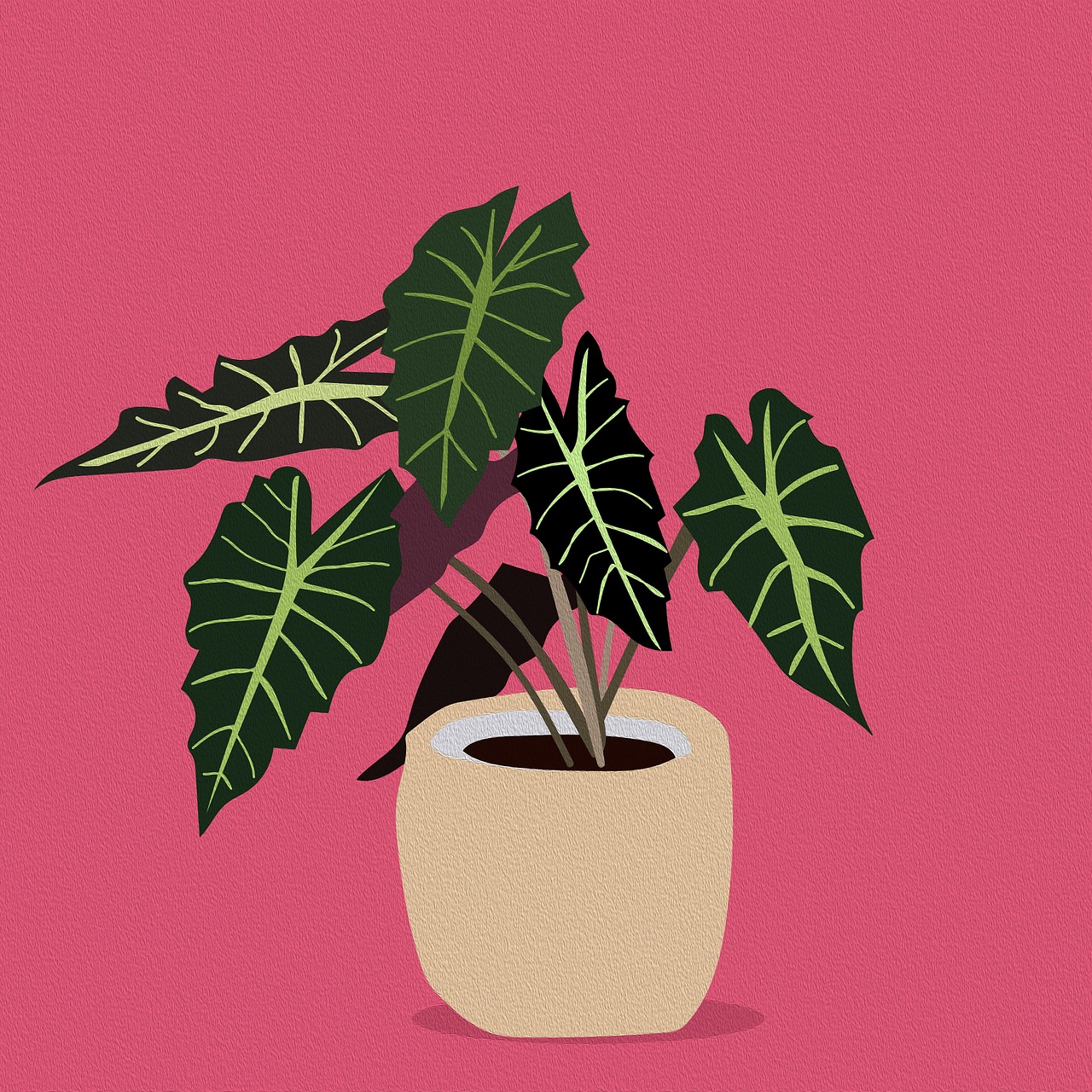 Die besten Pflanzen für ein gesundes Raumklima: So verbessern Grünpflanzen Ihre Wohnqualität